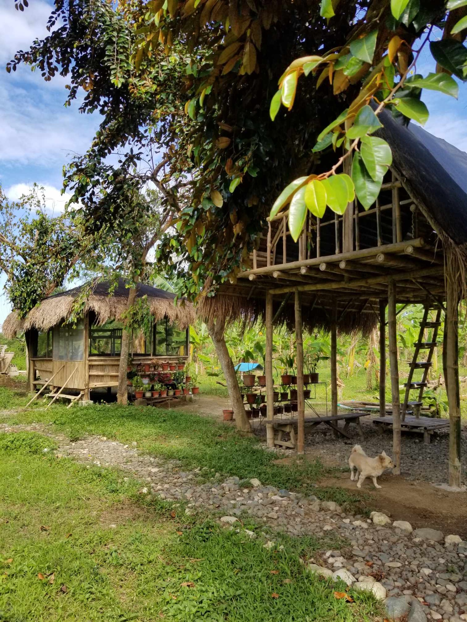 Balamban, Cebu, 0 , 0 ,0,Lot Only,For Sale,0,1019