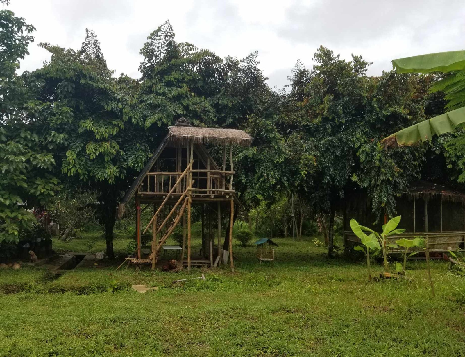 Balamban, Cebu, 0 , 0 ,0,Lot Only,For Sale,0,1019