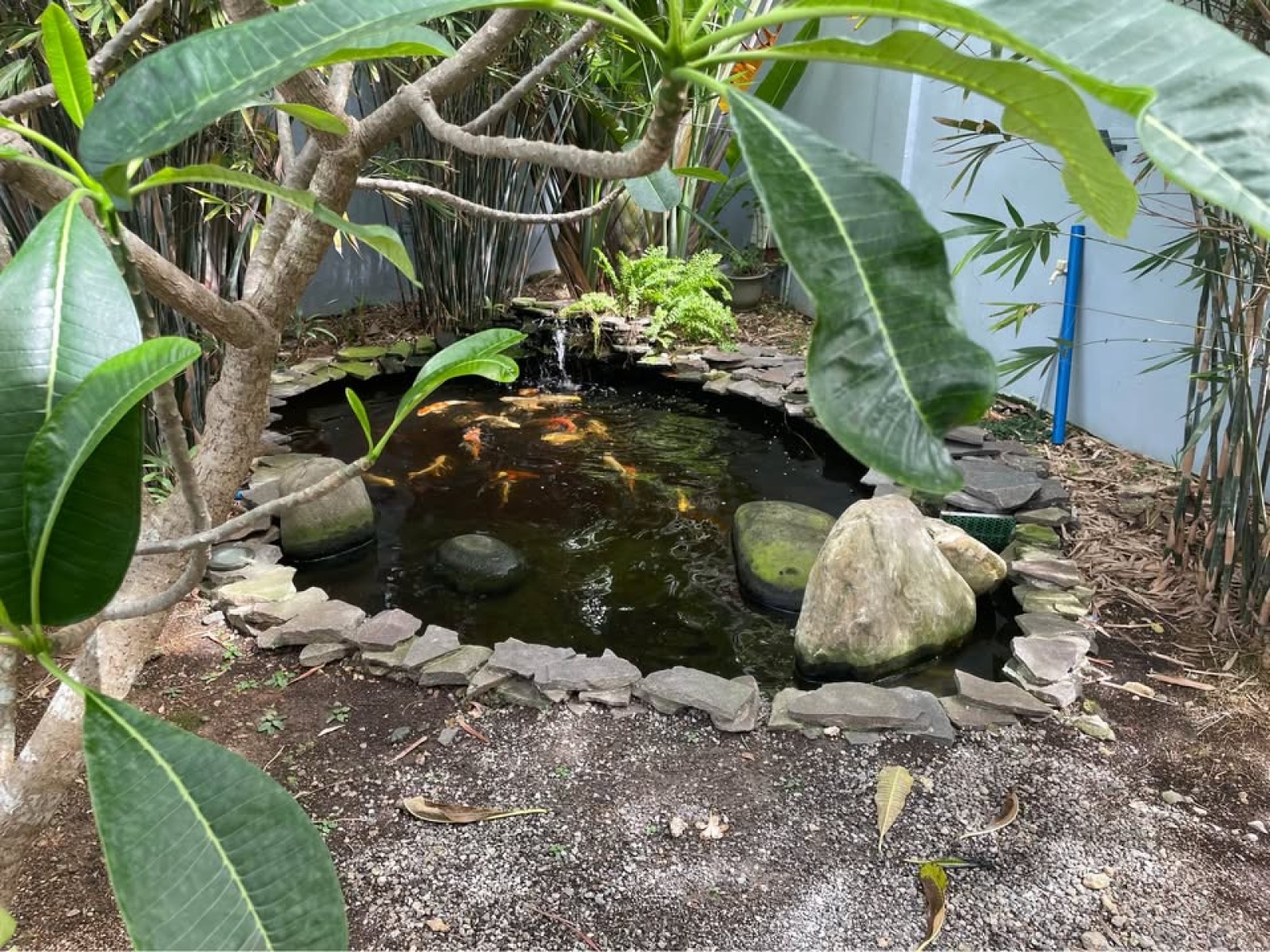 Marigondon, Marigondon, Lapu-lapu, Cebu Province 6015, 0 , 0 ,0,House and Lot,For Sale,Marigondon,0,1058